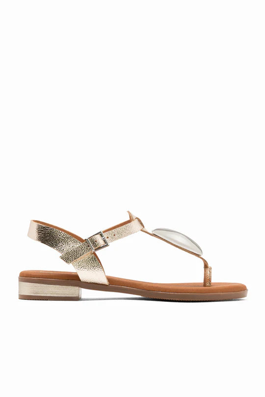 Sandalias Duna Champan - Oh My Sandals